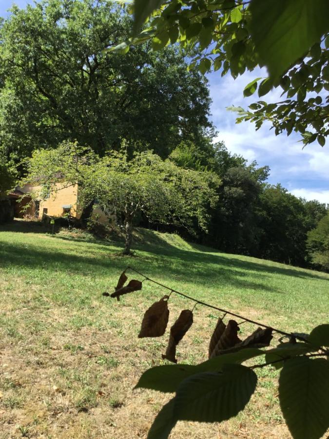 Villa Logis Des 4 Fees Et Son Bain Nordique Sainte-Nathalène Exterior foto
